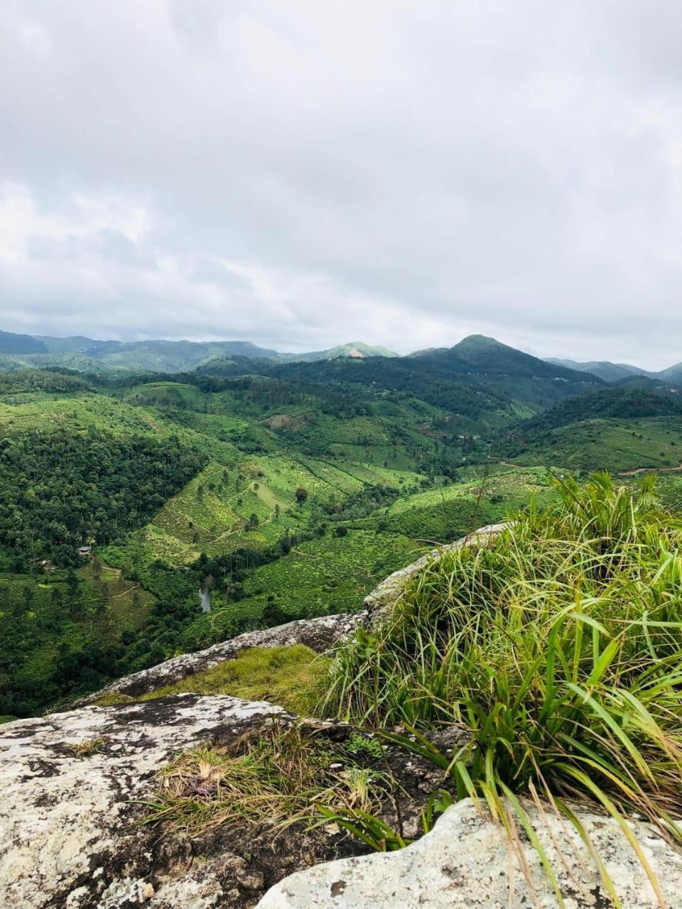Moriah Berg Tourist Villa Vagamon Vandiperiyar Luaran gambar