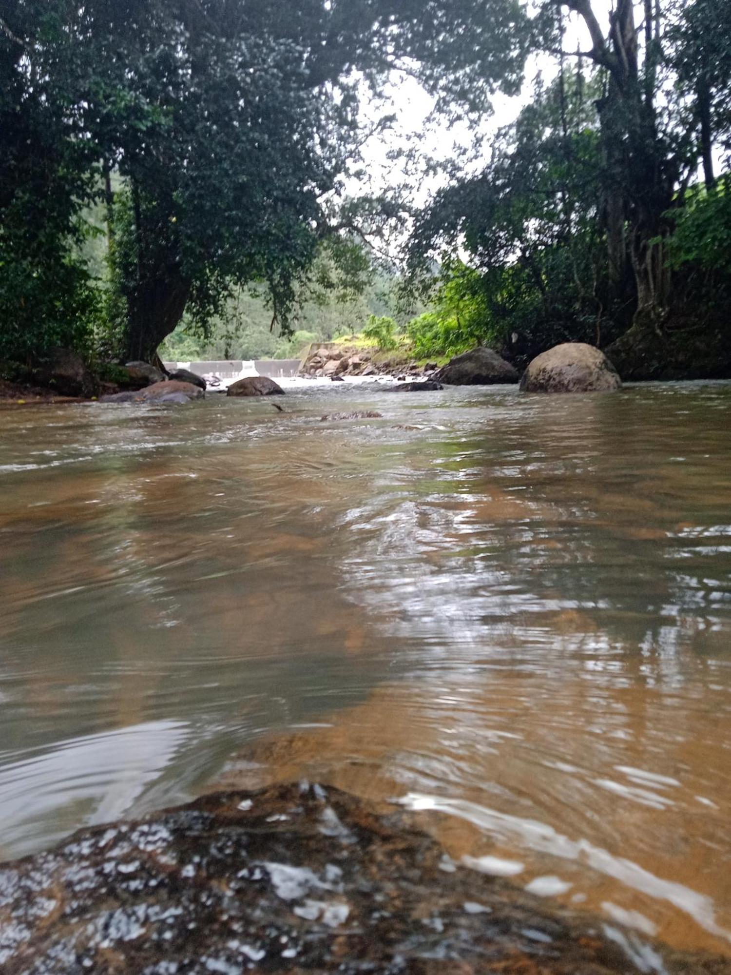 Moriah Berg Tourist Villa Vagamon Vandiperiyar Luaran gambar